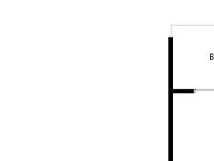 A1